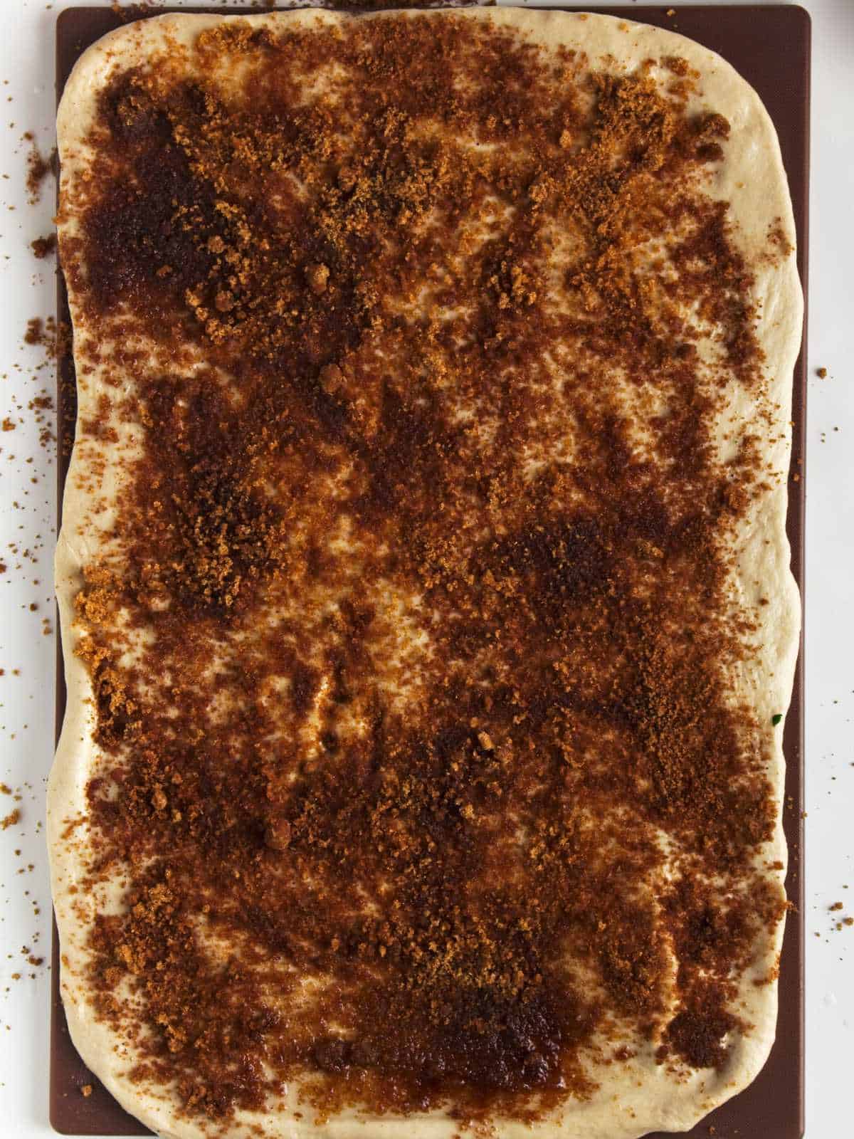 cinnamon sugar spread out on large dough rectangle.