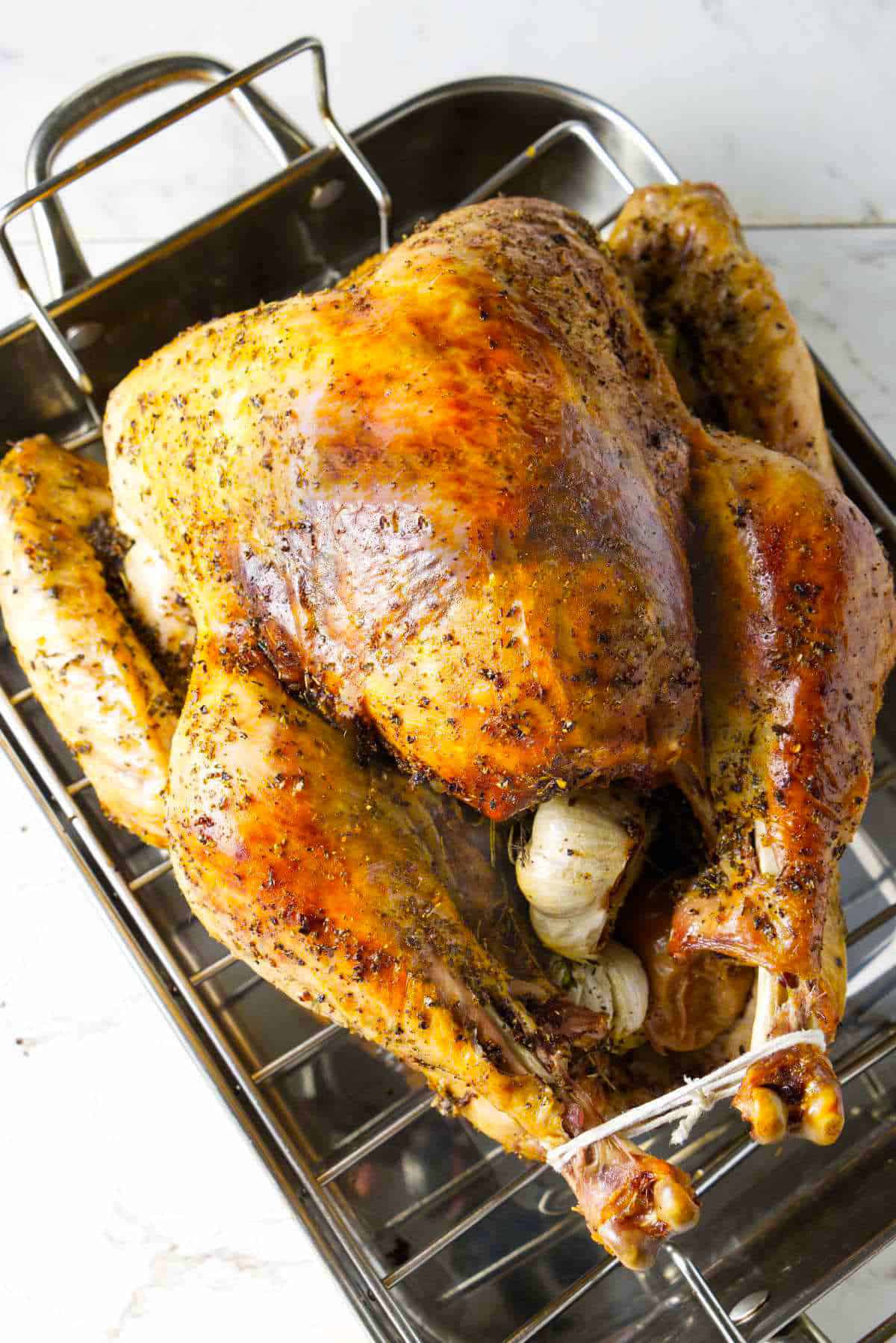 roasted turkey resting in a roasting pan.