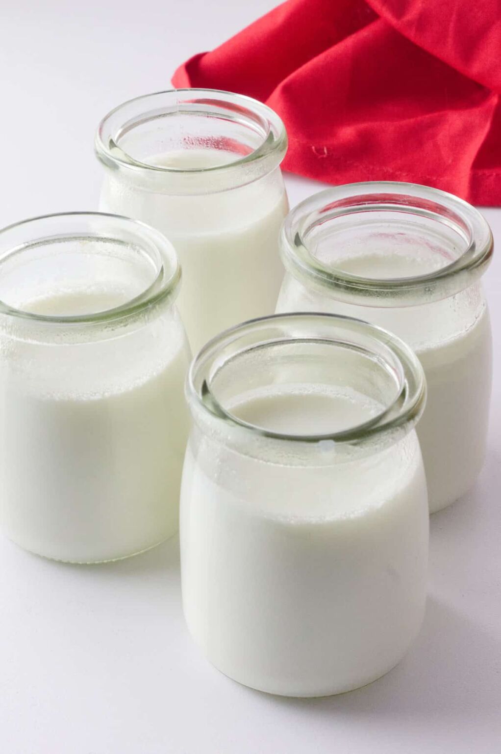 How To Make Lactose Free Yogurt Recipe (4 Ways) Smells Like Delish