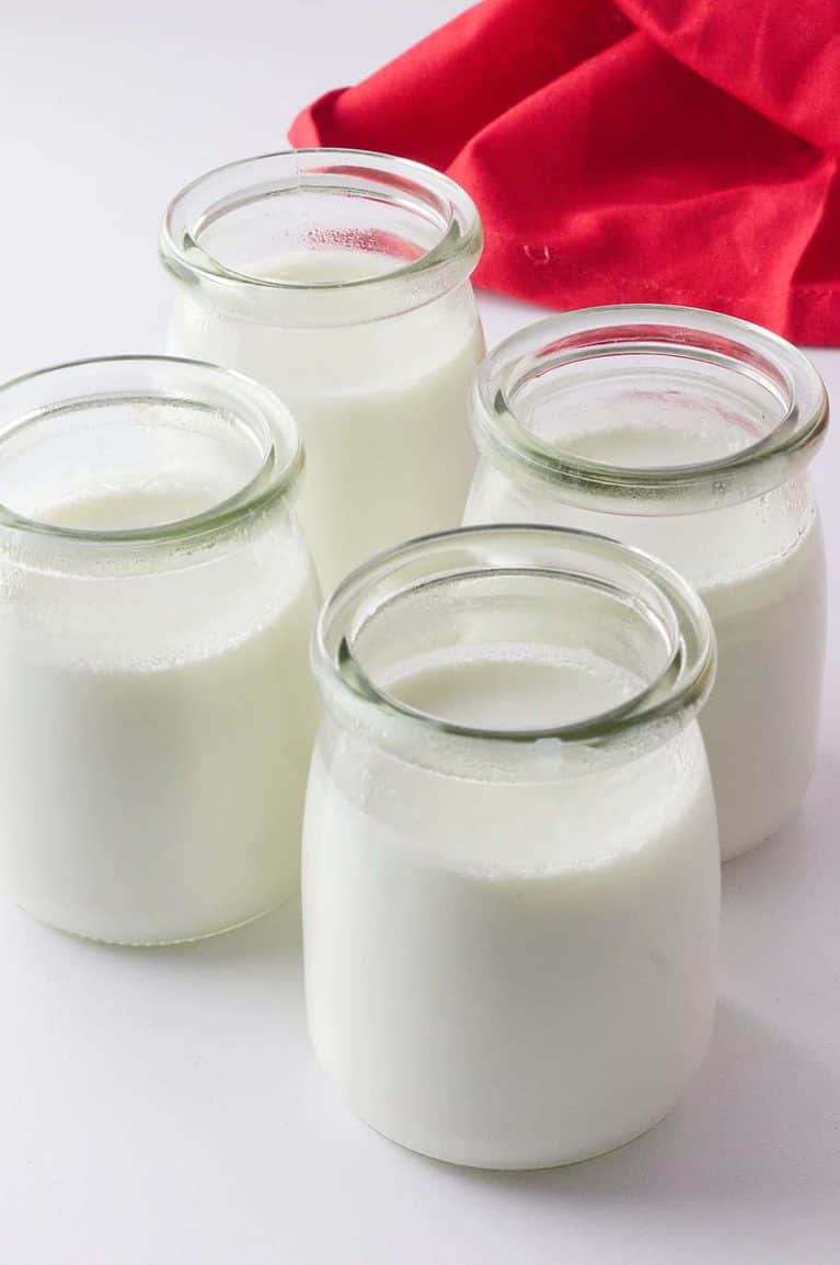 How To Make Lactose Free Yogurt Recipe (4 Ways) Smells Like Delish