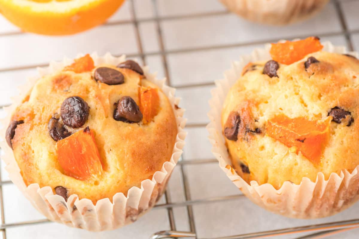 orange and chocolate chip muffins on a white background