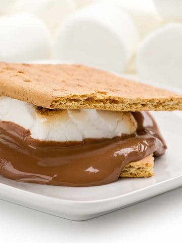 two s'mores on a light blue plate.