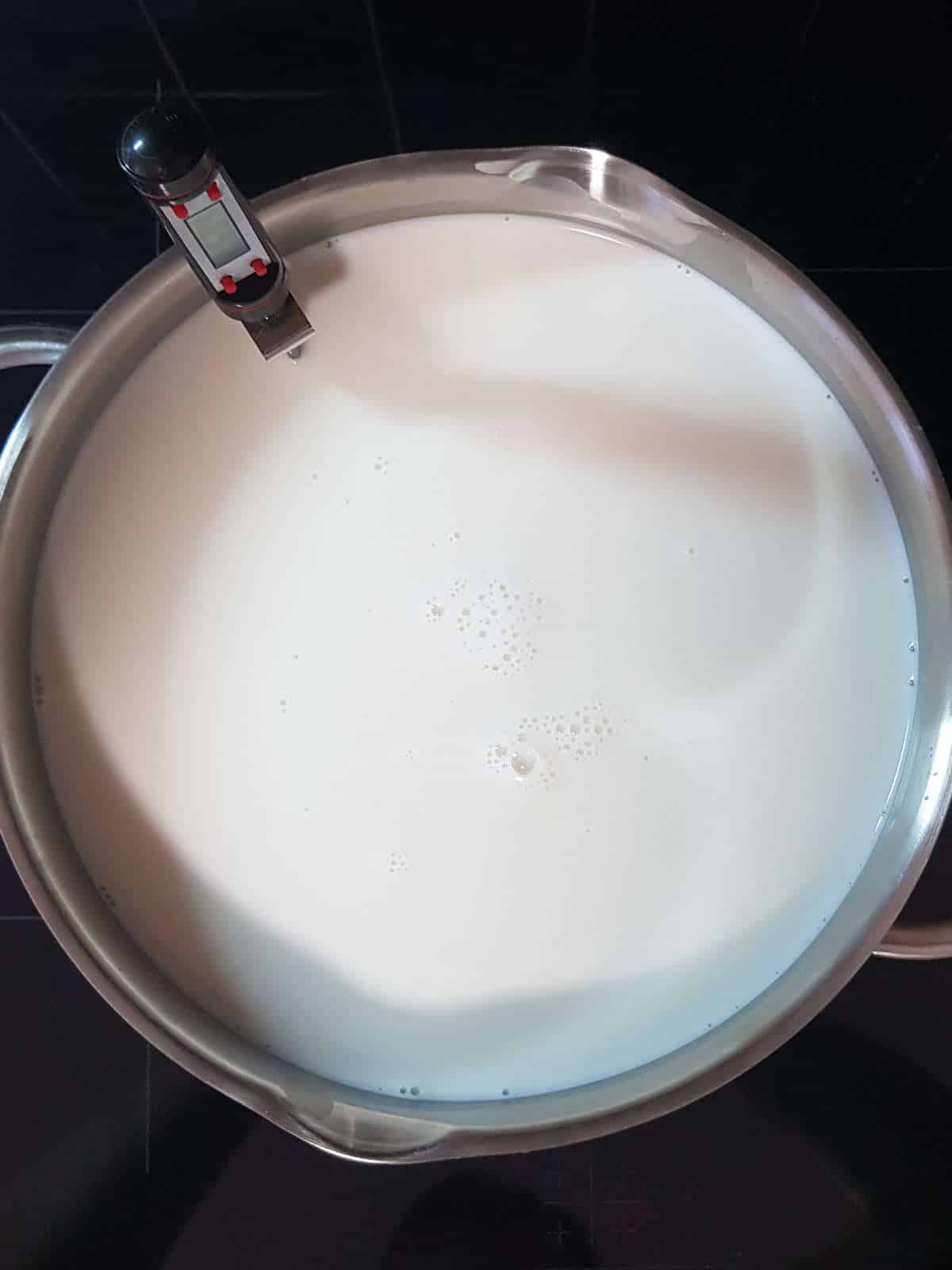 milk in a pot with a thermometer and whisk.