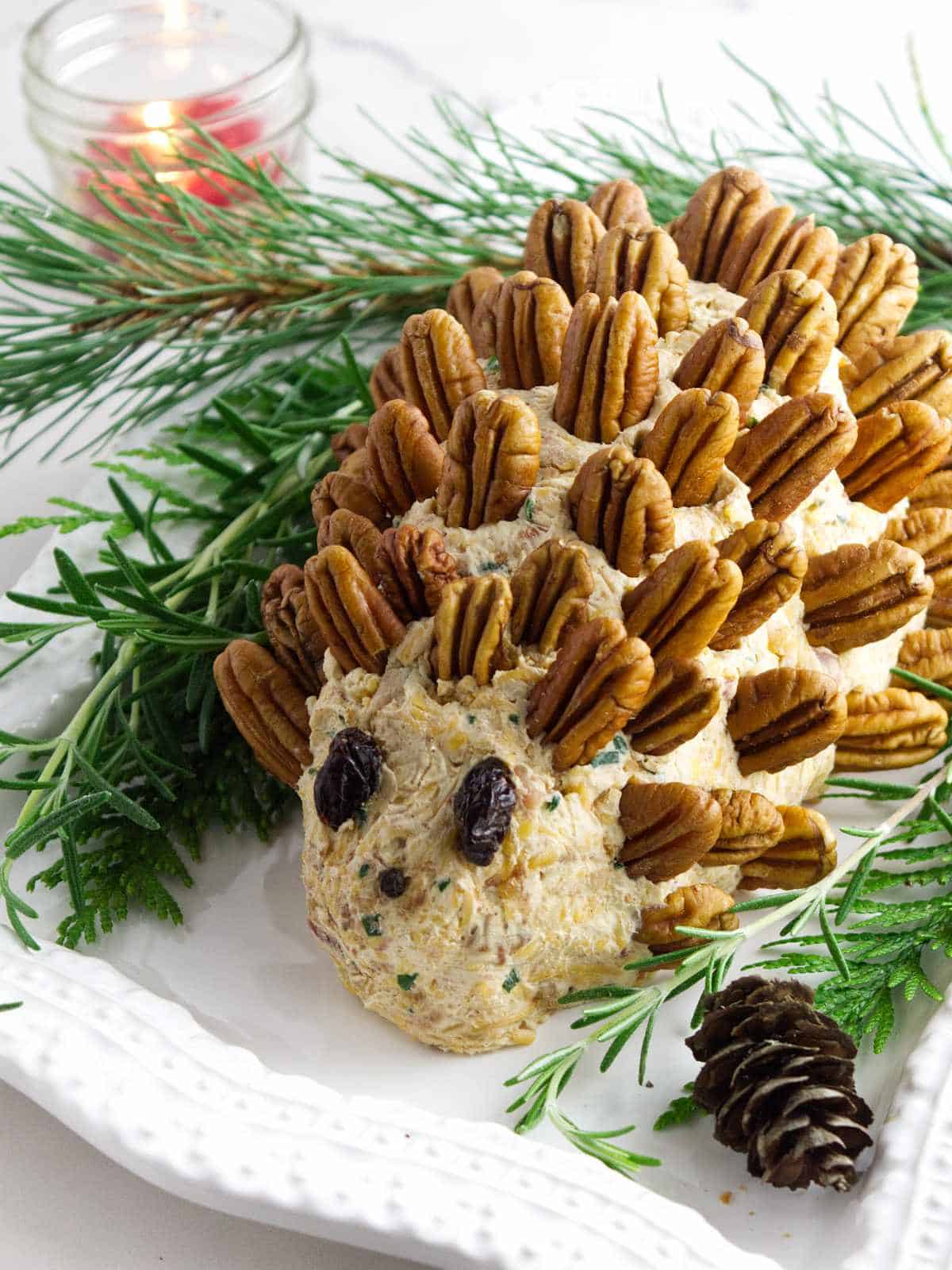 pecan studded holiday cheese ball in shape of a hedgehog.