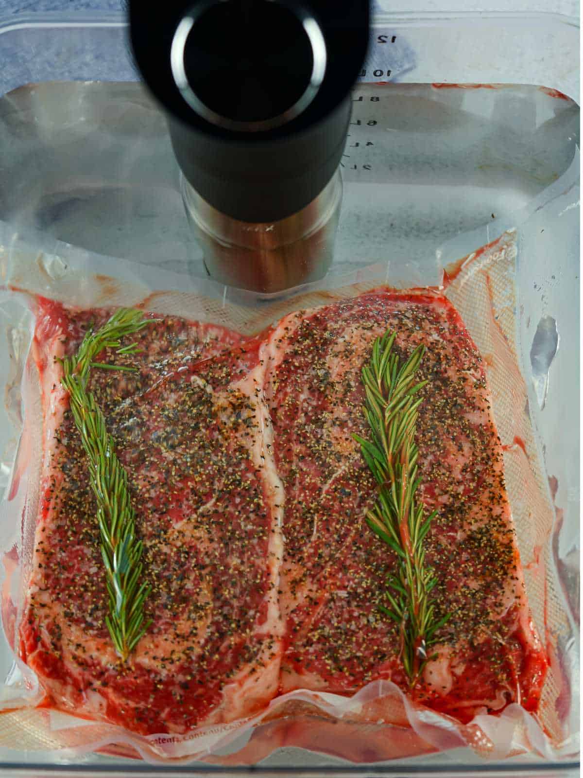 sous vide bag of steaks in water with sous vide attachment connected.