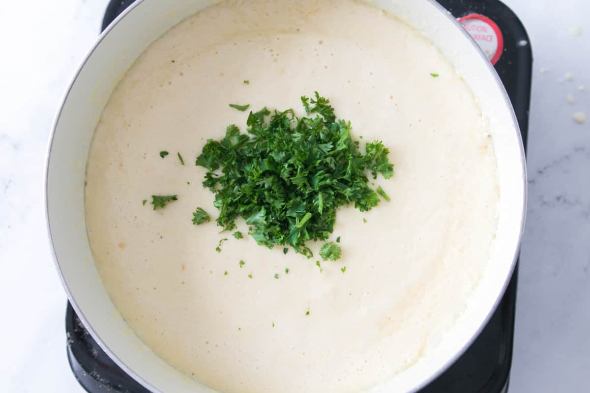 parsley added to cream and butter sauce.