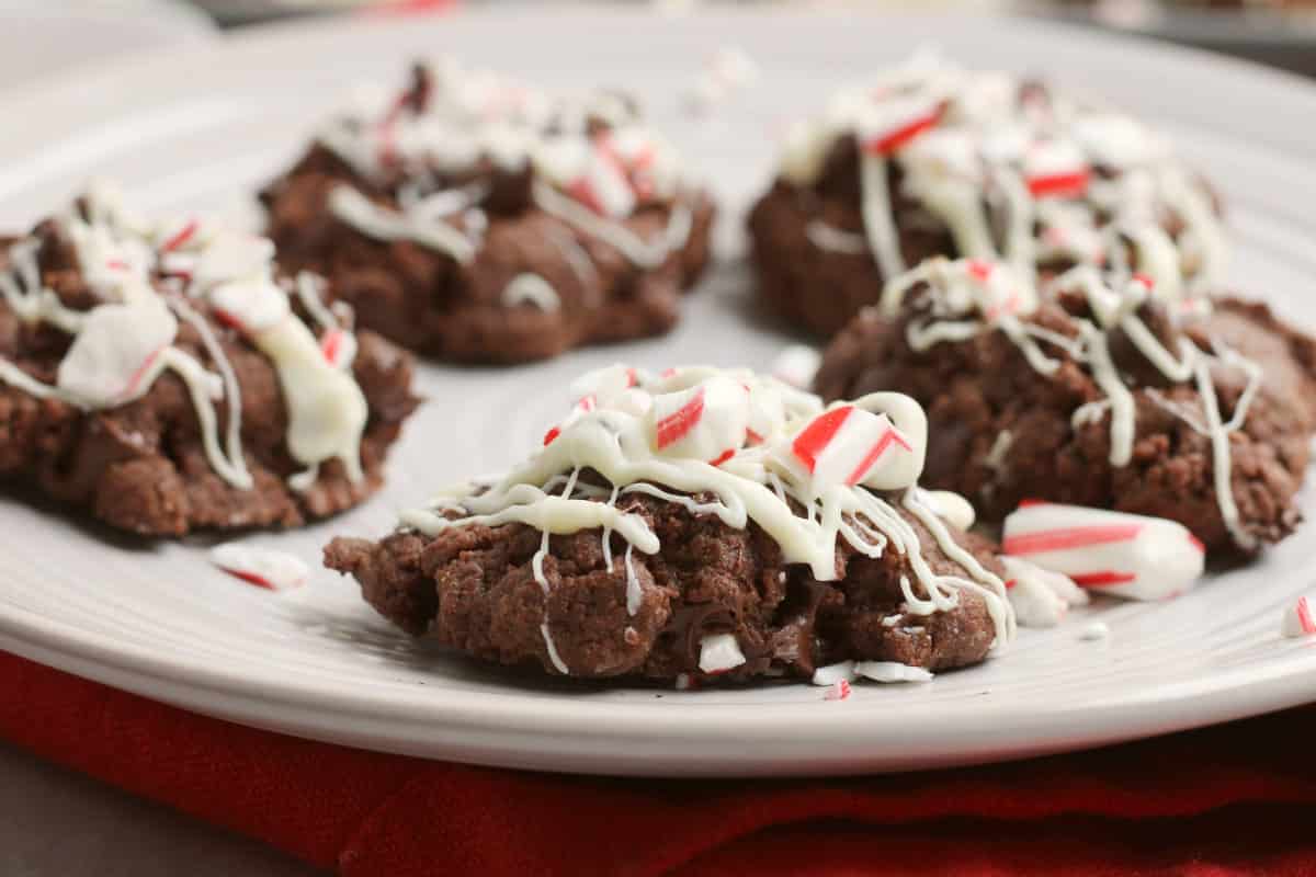 plate of chocolate peppermint cookies.