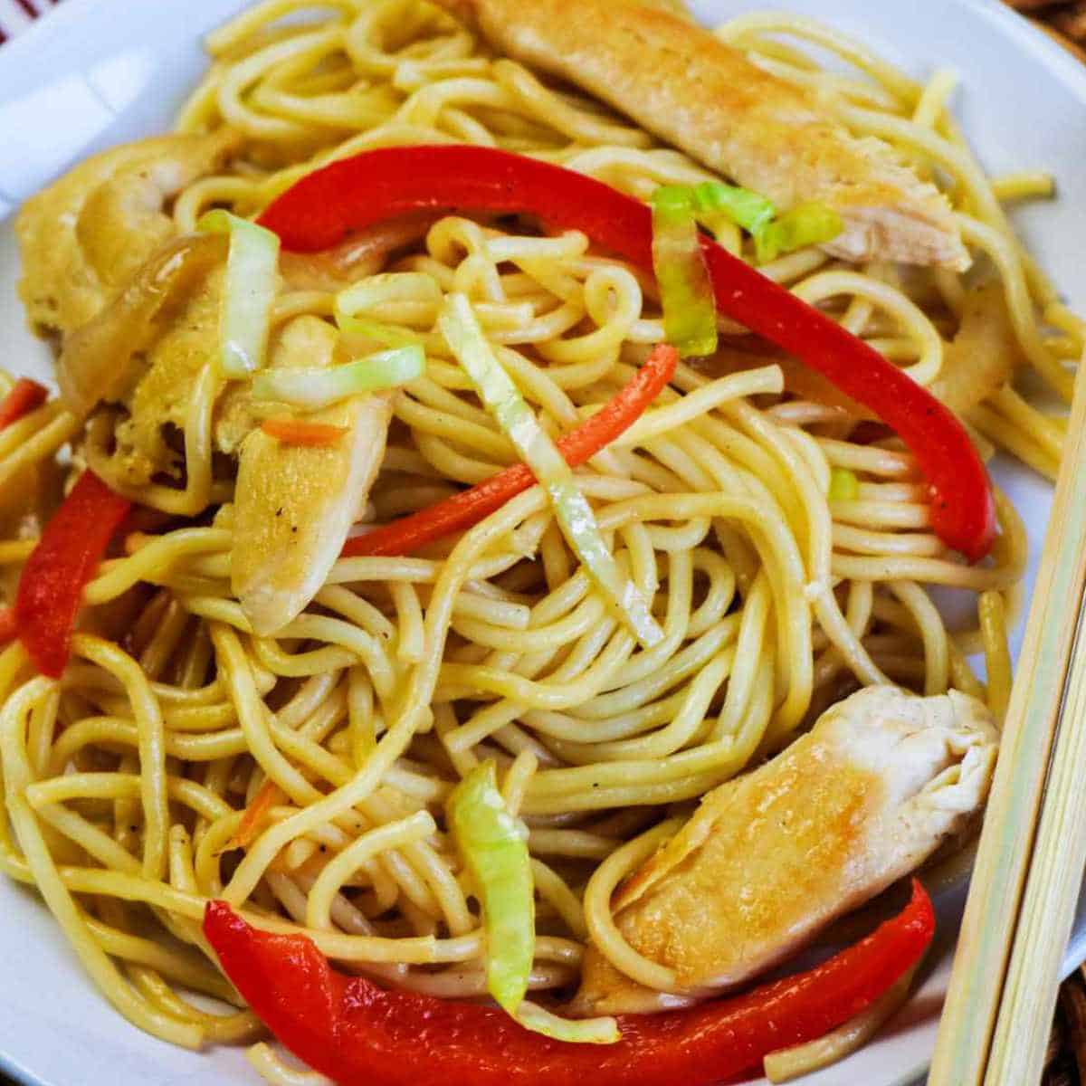 Chicken lo Mein on a serving plate.