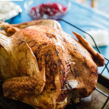 A close-up of a golden-brown roasted turkey on a rack, perfect for quick and easy meals, with a bowl of cranberry sauce blurred in the background on a blue tablecloth.