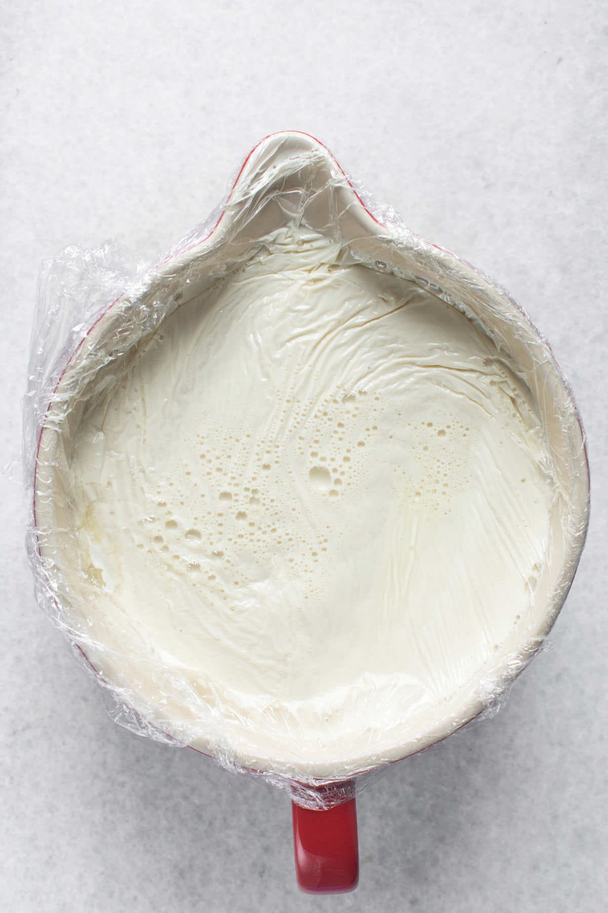 Homemade yogurt in a bowl .