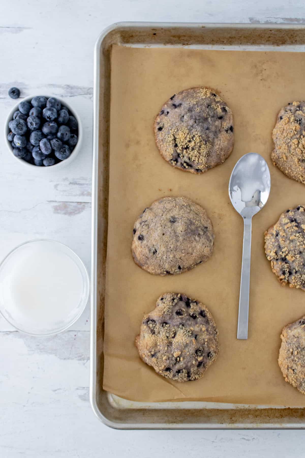 blueberry cookies on a cookie sheet.