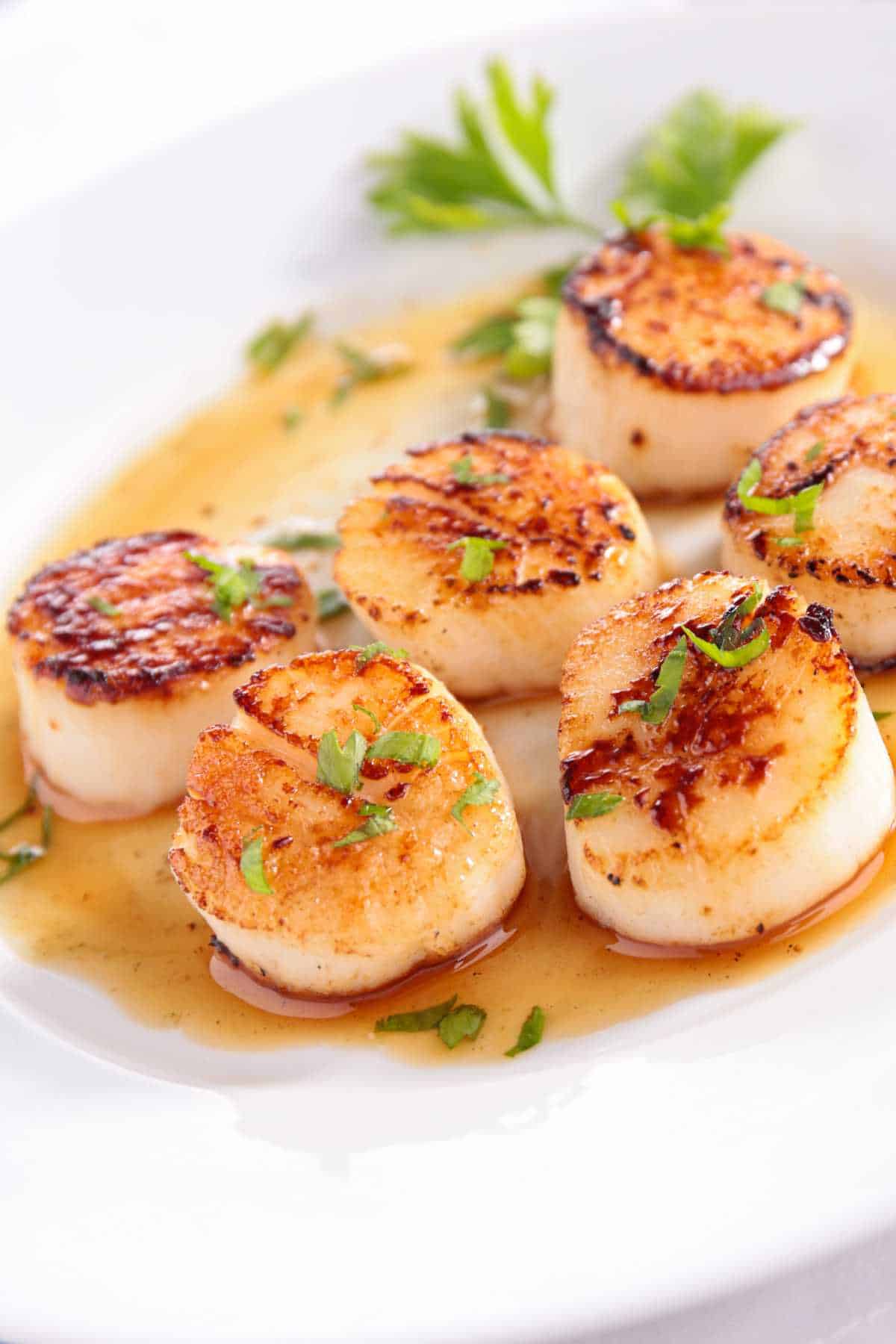 plate of seared seared cast iron scallops garnished with chopped parsley.
