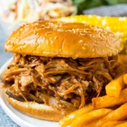 Pulled pork on a bun with fries.