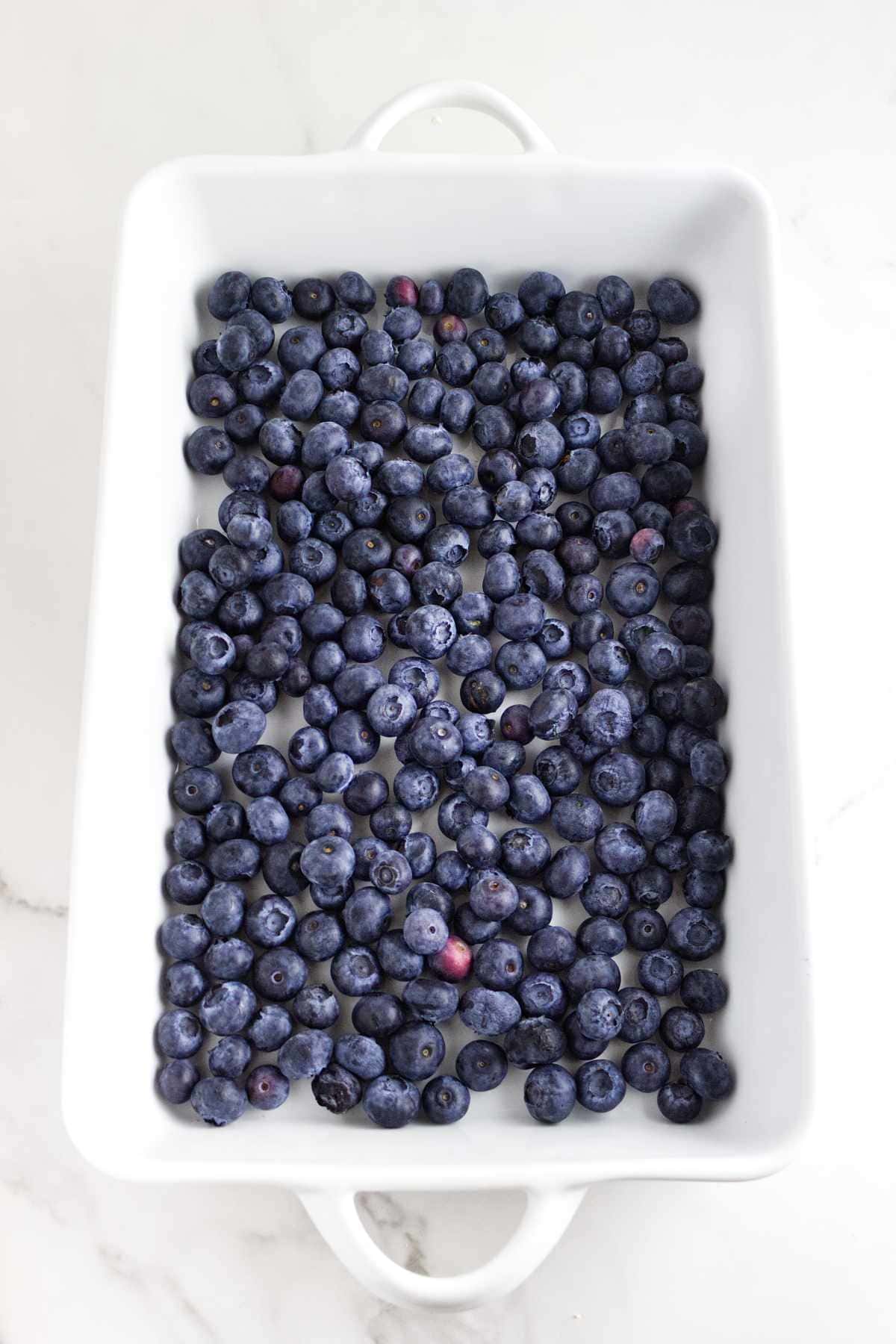fresh blueberries in a baking dish.