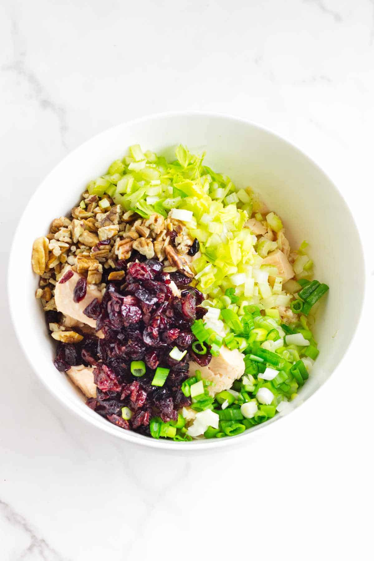 diced ingredients in a bowl: celery, chicken, green onion, dried cranberries, and chopped pecans.