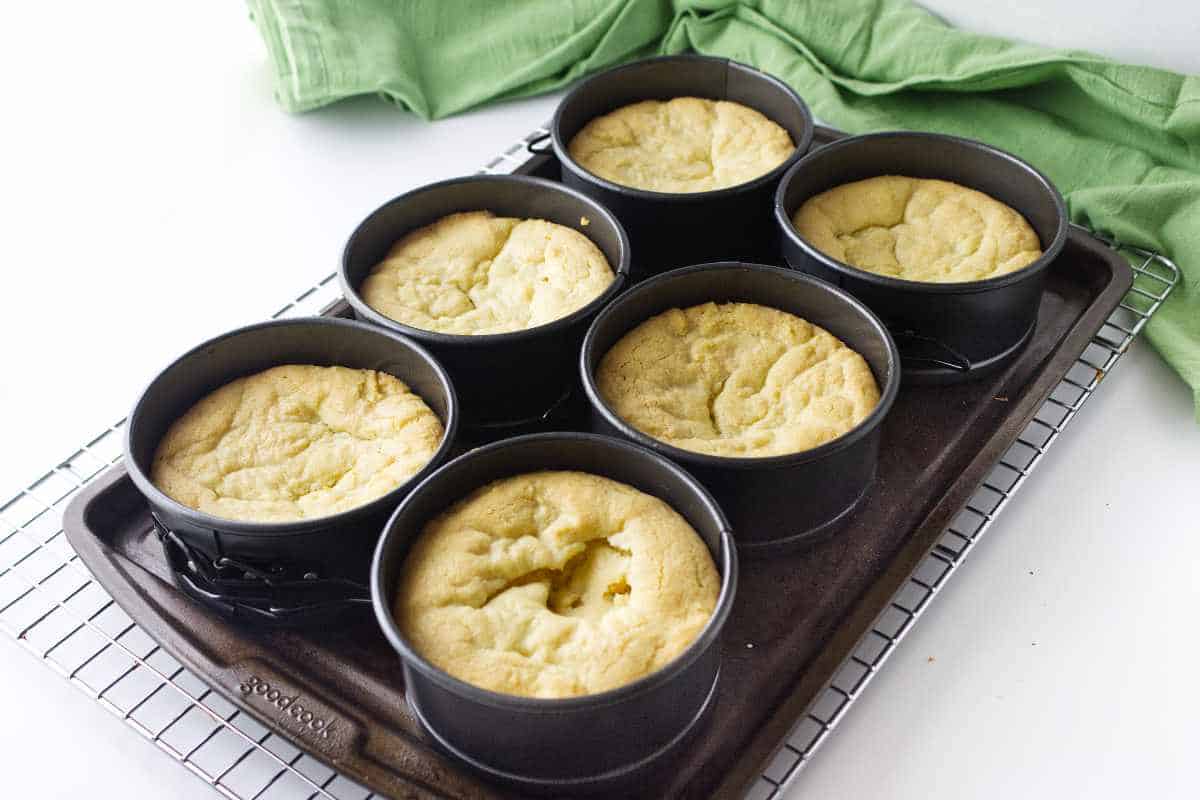 six mini fresh baked butter cakes cooling.