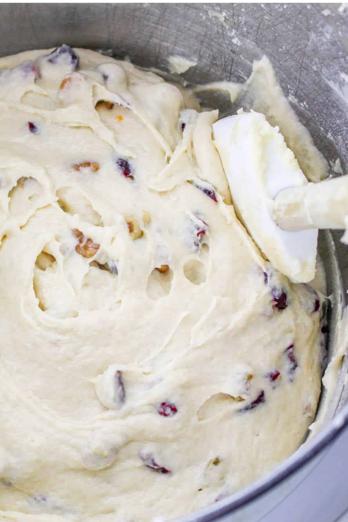 dried fruits and nut stirred into the Panettone dough.