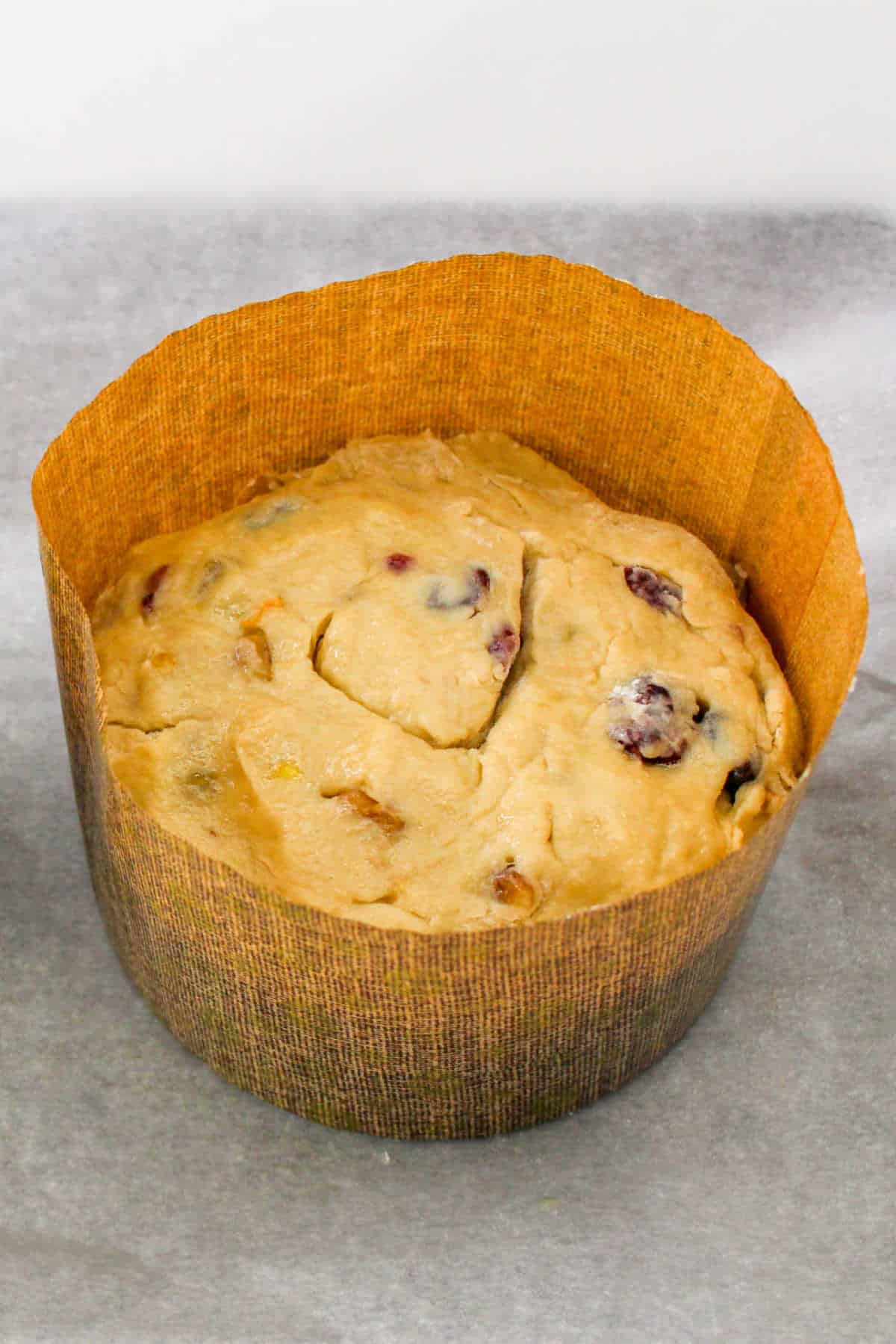 Panettone dough rolled up and placed in baking form to bulk rise before baking.