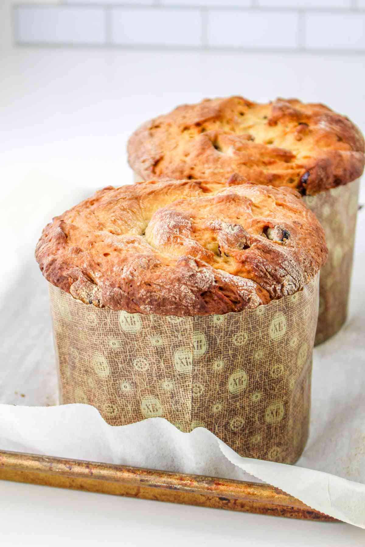 Two classic Panettone cakes cooling on a baking sheet.