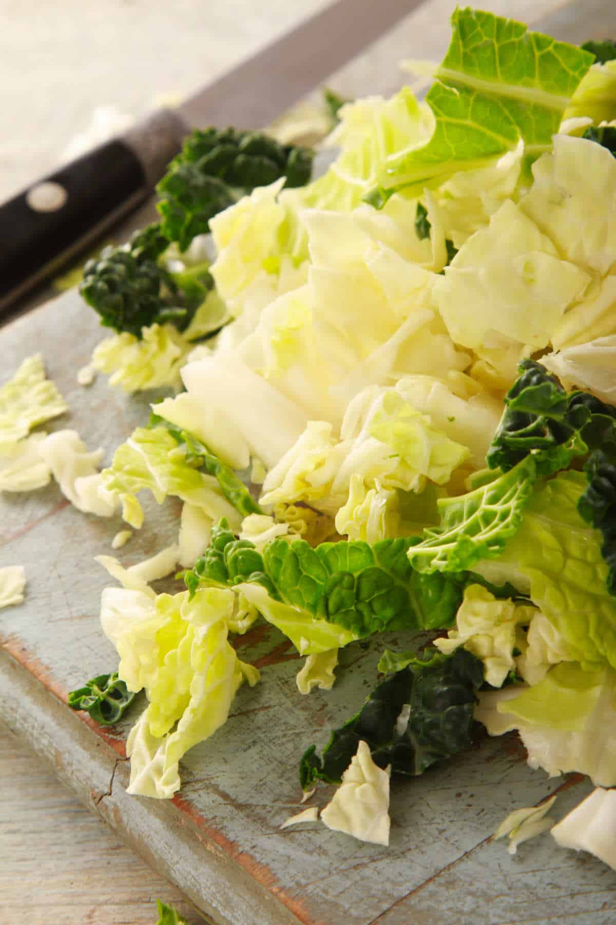 preparing chopped savoy cabbage and kale.