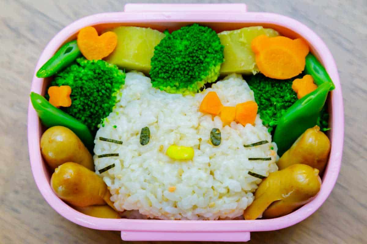 Cute bento box for lunch.
