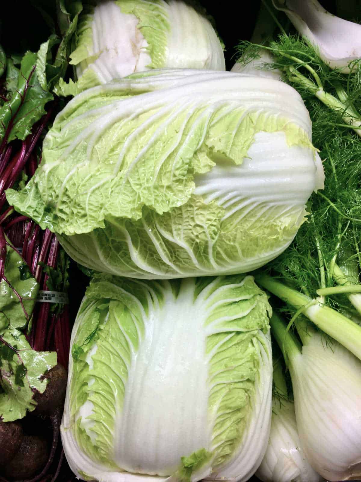 Napa cabbage with fresh cut fennel.