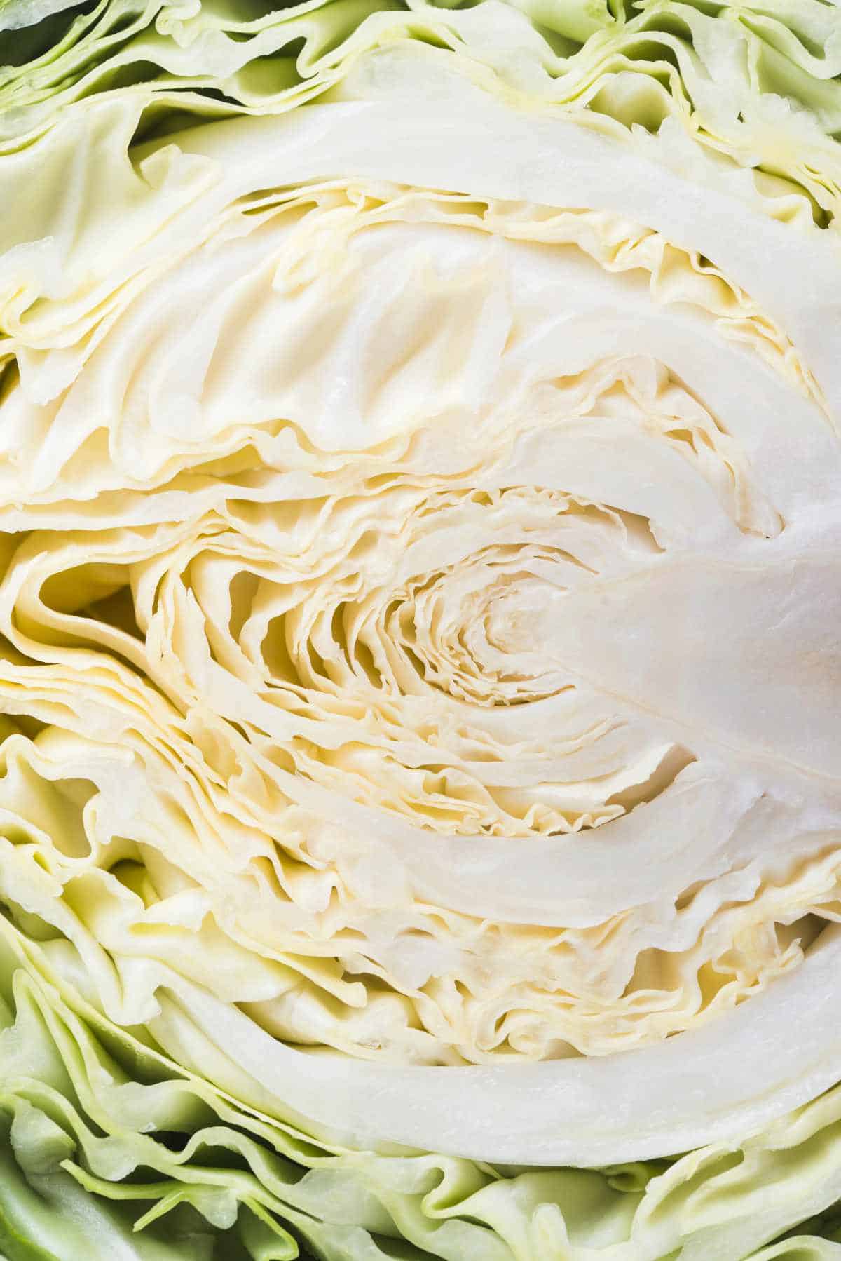Close up of a cut head of cabbage.
