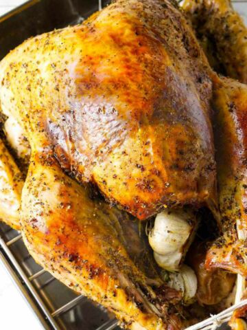 convection oven roasted turkey.