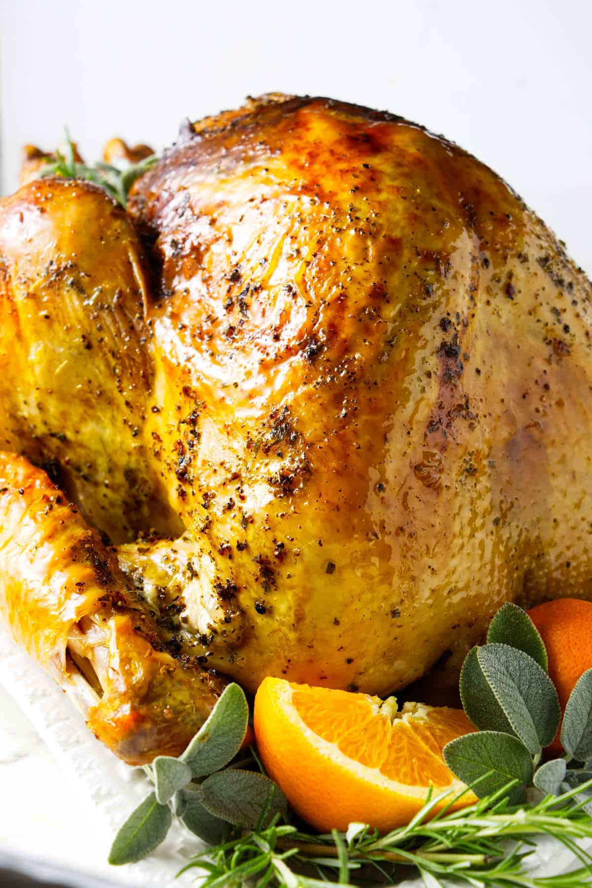 convection oven turkey.