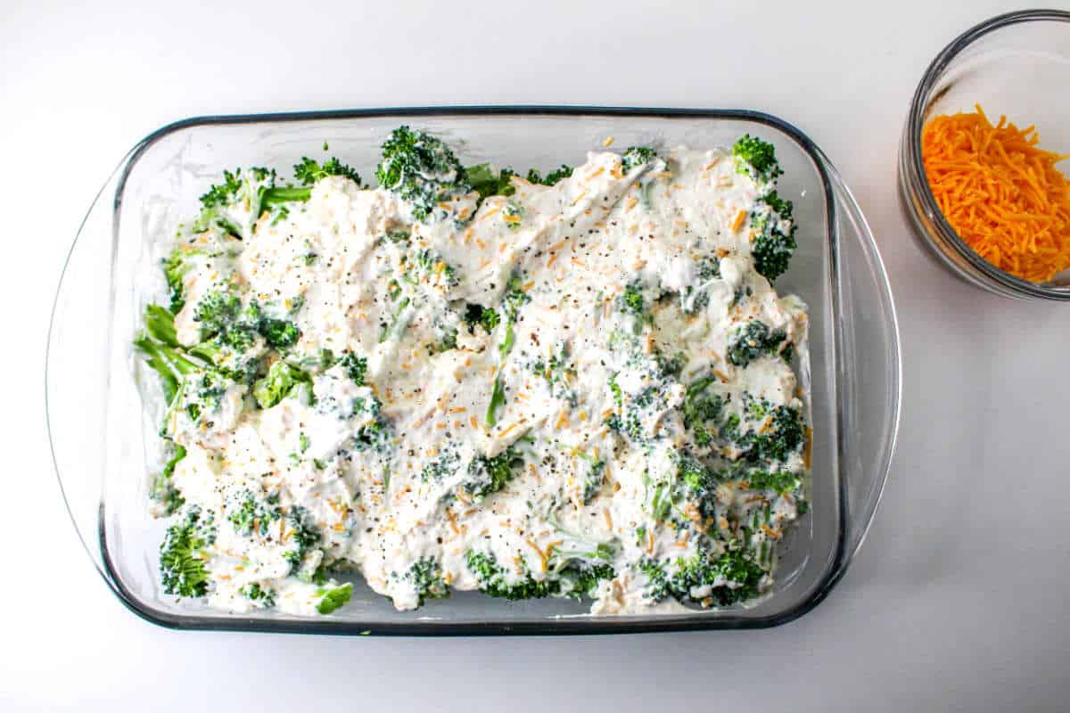seasoned cream cheese mixture on top of a layer of broccoli.