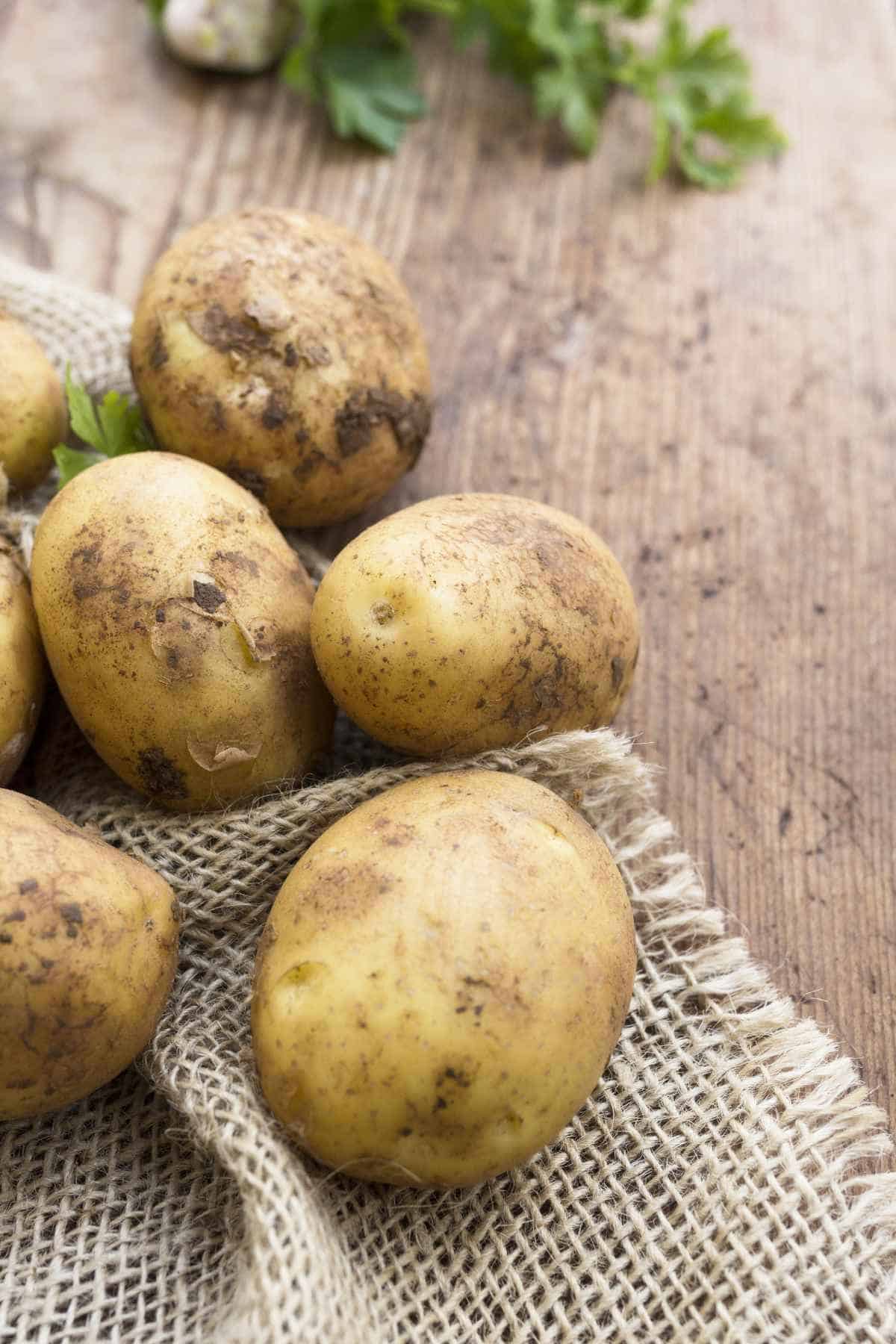 fresh dug Irish potatoes.
