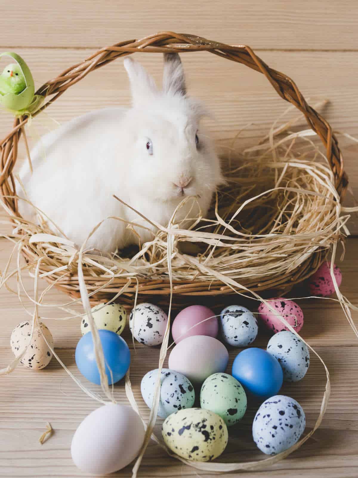 basket holding a white bunny with eggs around him.
