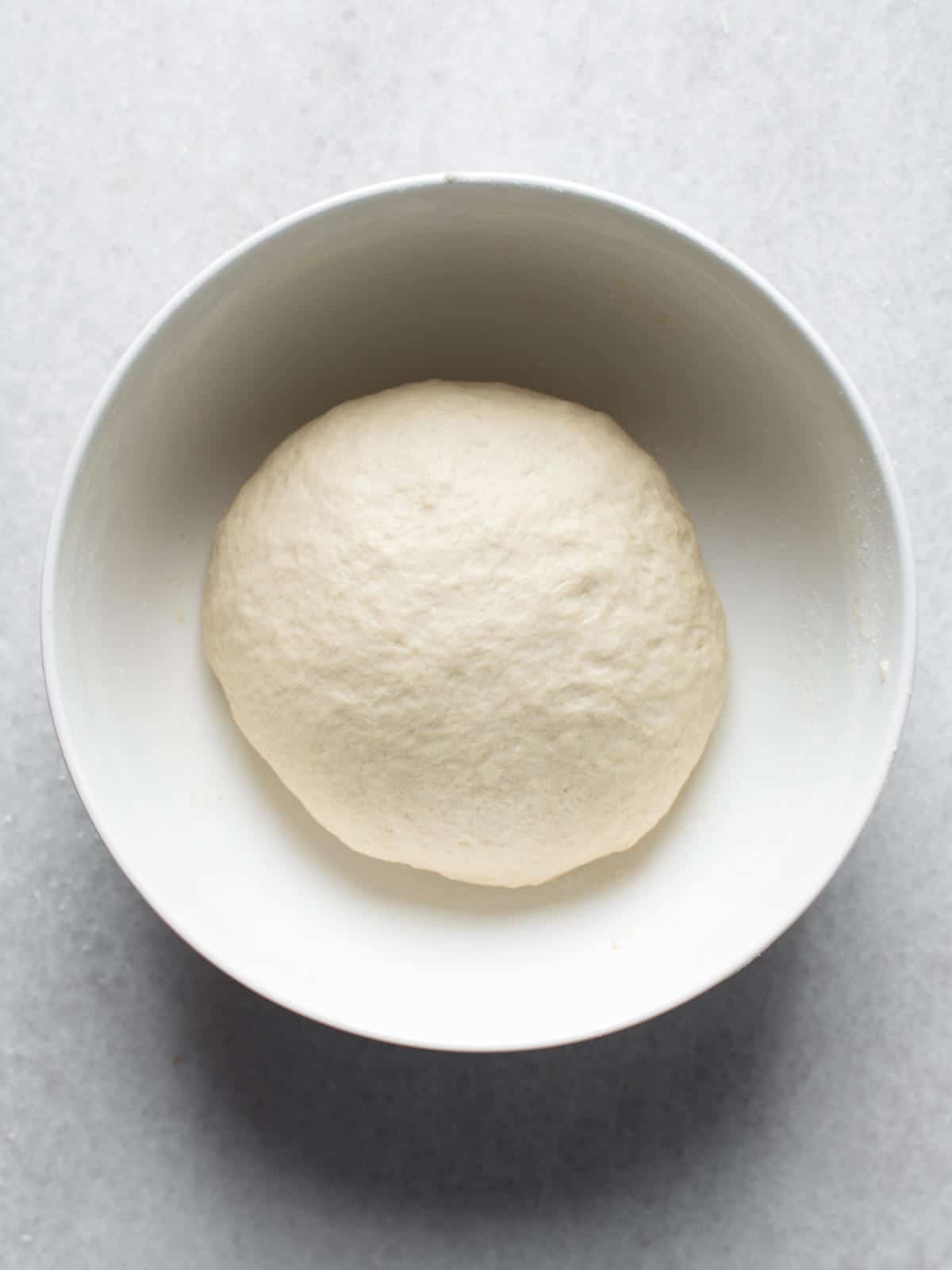kneaded ball of dough in an oiled bowl for proofing.