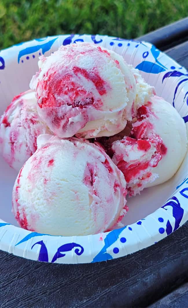 raspberry swirled ice cream.