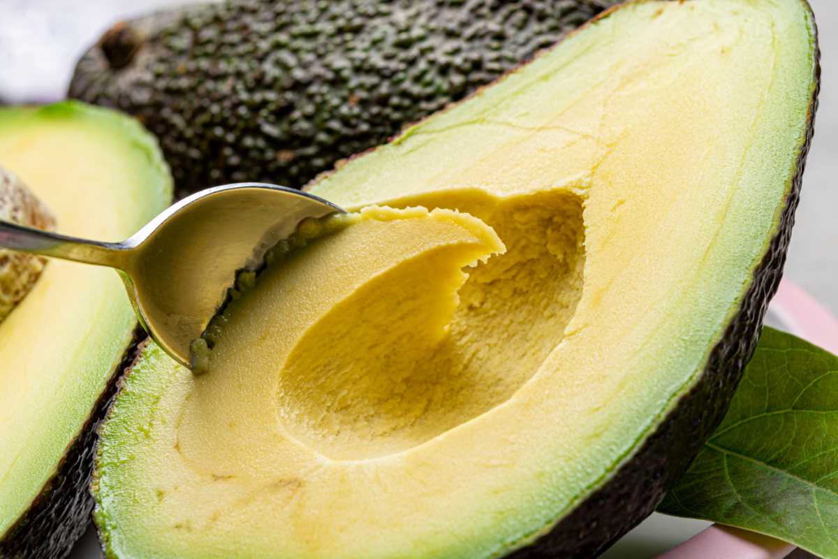 Eating of fresh ripe green organic hass avocado fruit with spoon close up.