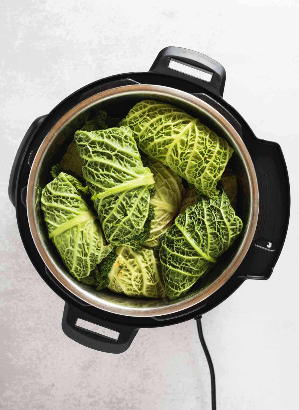 cabbage rolls in an Instant Pot cooking appliance.