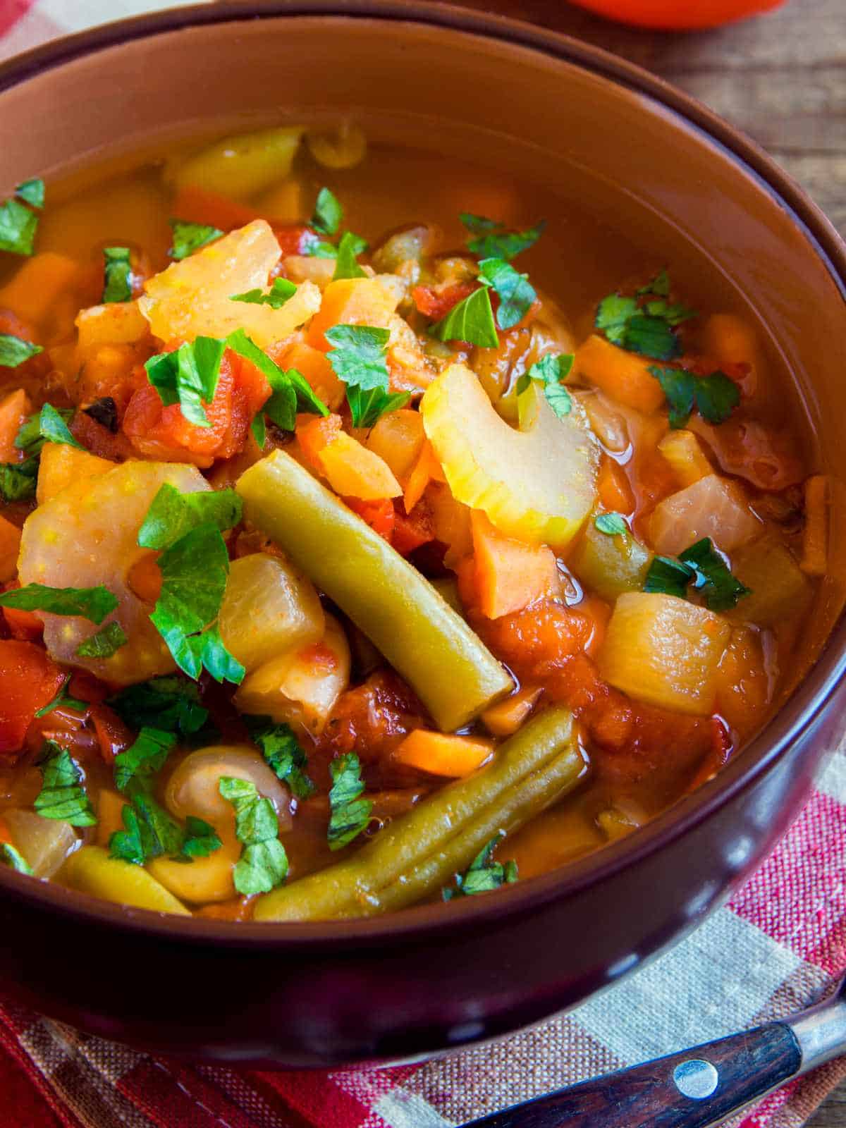 slow cooker vegetable soup.