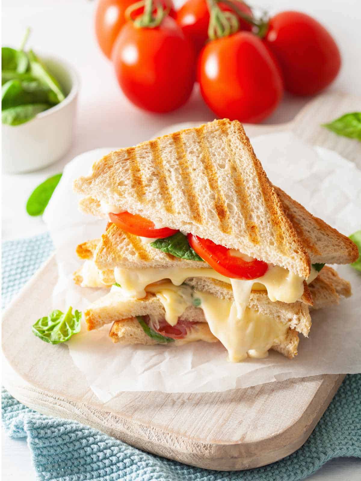 grilled cheese and tomato sandwich on white background.
