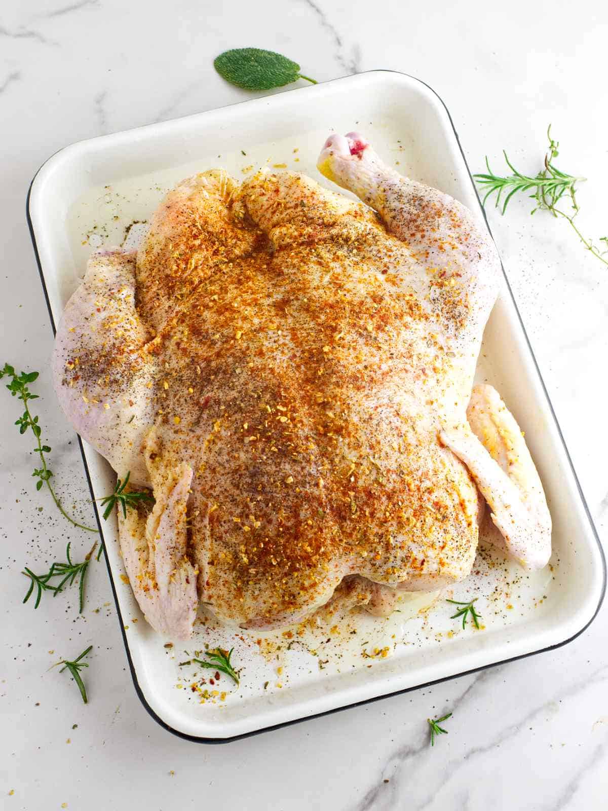 Seasoned baking size chicken on a tray.