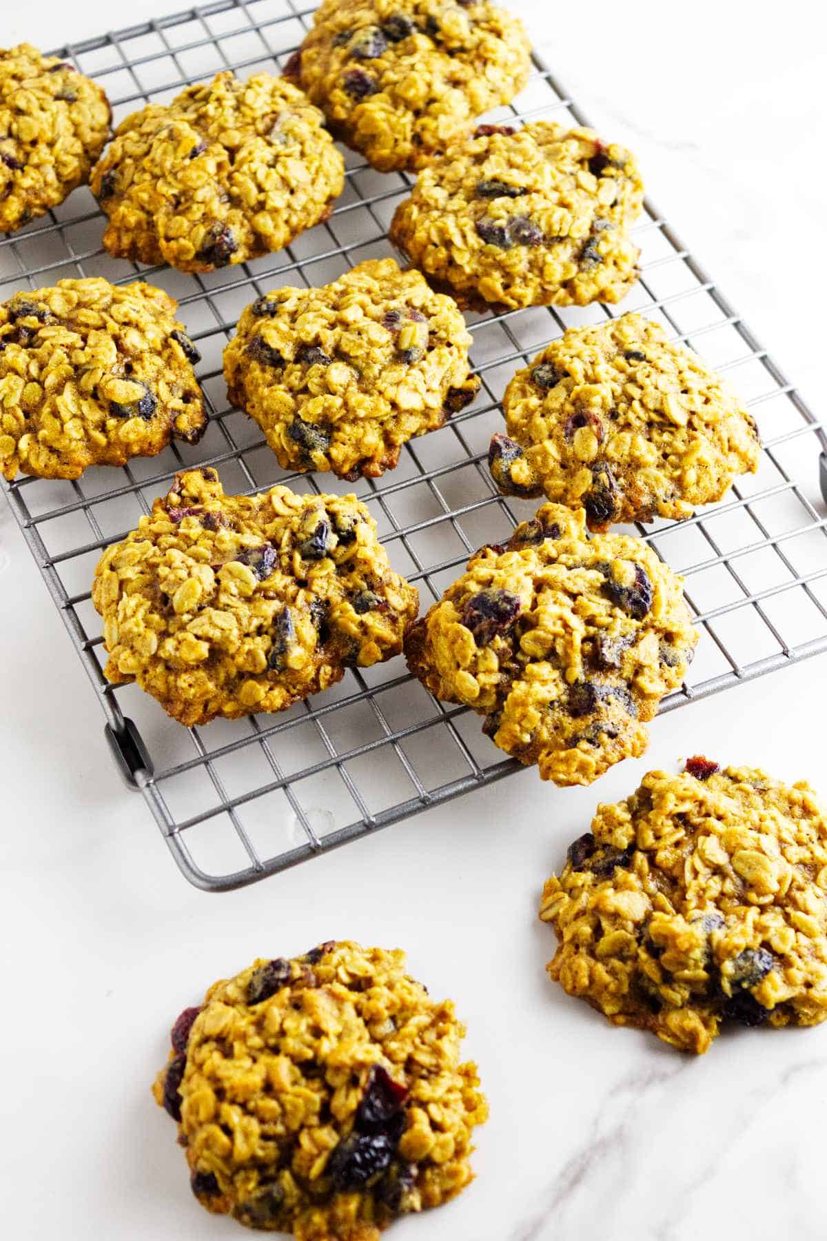 oatmeal cranberry craisin cookies cooling on a wire cooling rack.