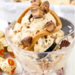 Reese's peanut butter cup ice cream with drizzled peanut butter topping.