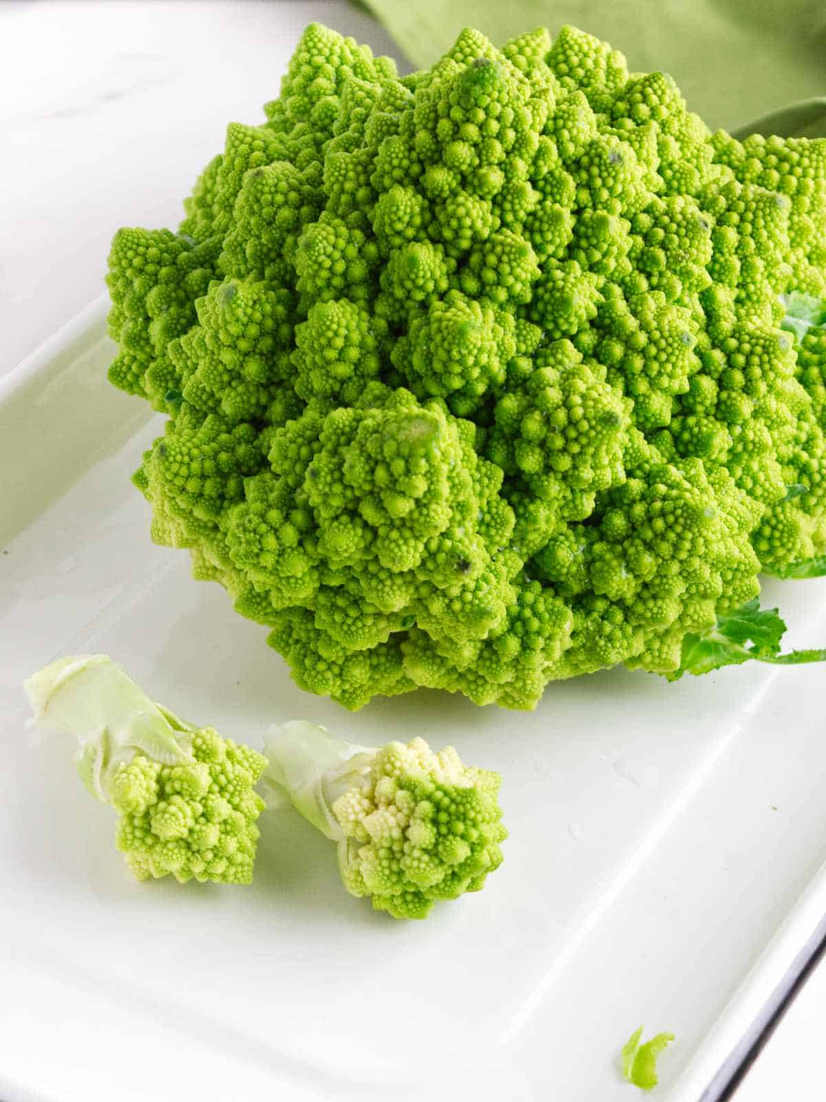 Head of romanesco broccoli with two florets broken off.