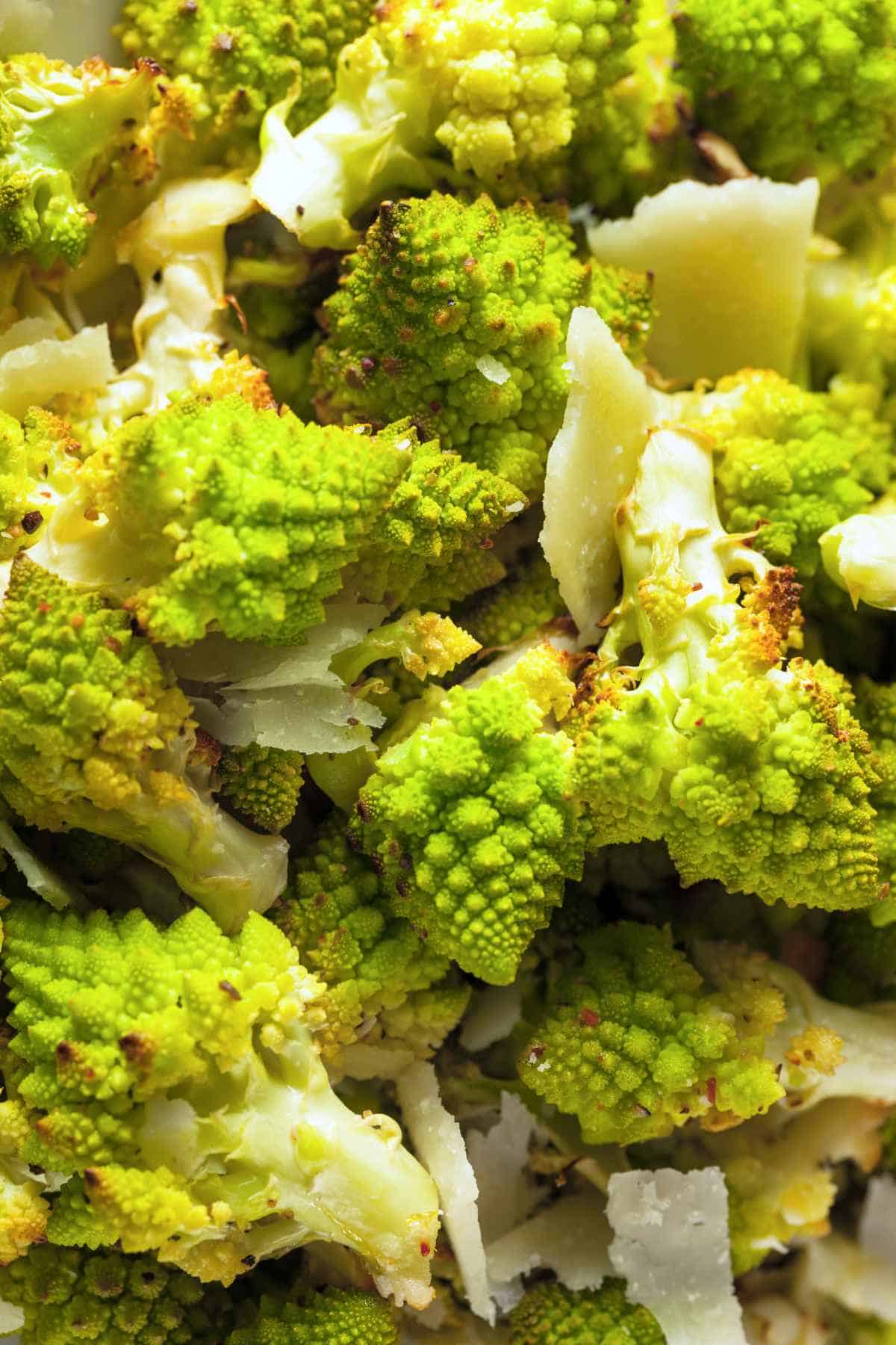 Roasted Romanesco with Parmesan Cheese and Pepper.