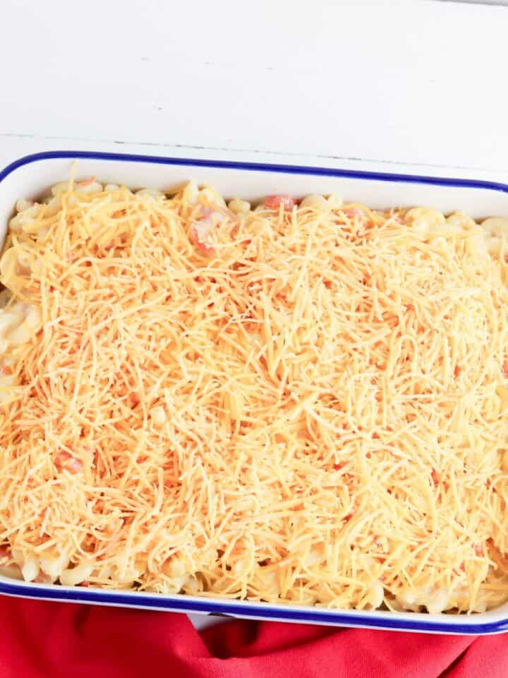 Shredded cheese scattered on top of casserole dish full of mac and cheese.