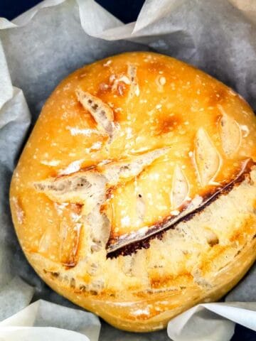 Golden brown baked sourdough boule set inside a parchment paper lined cast iron Dutch oven.