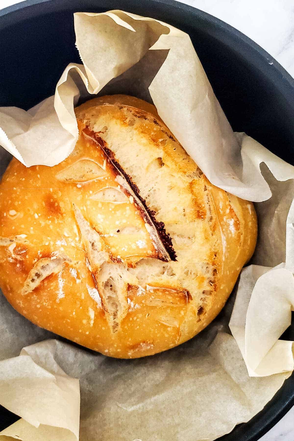 Golden brown baked sourdough boule set inside a parchment paper lined cast iron Dutch oven.