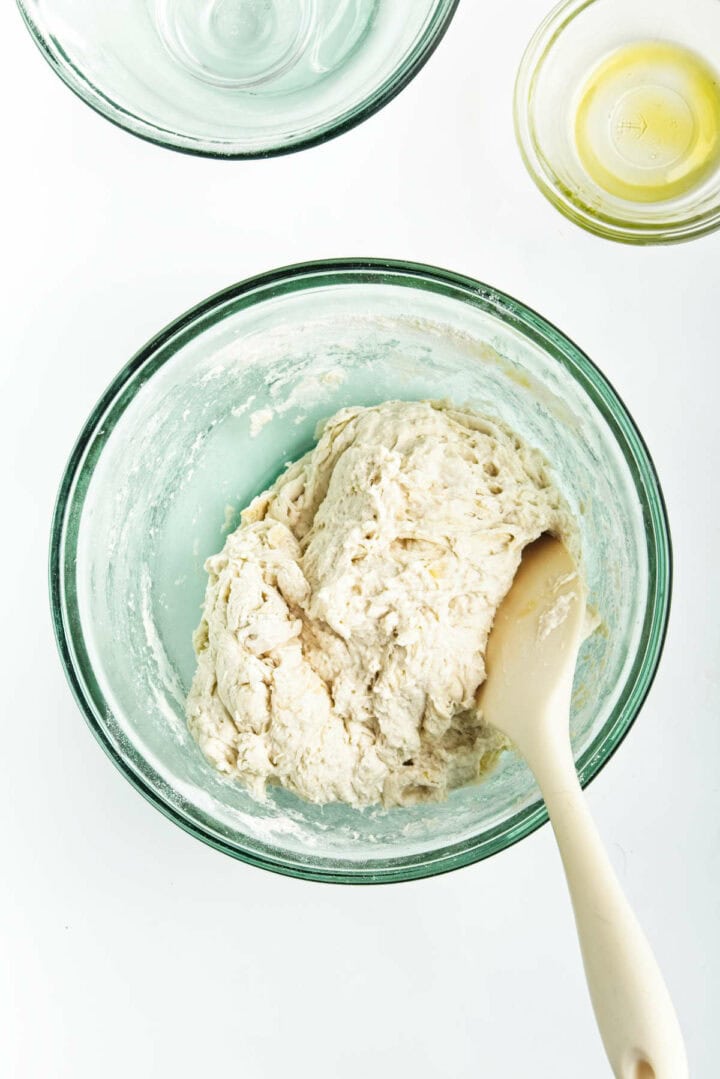 freshly made bread dough in a bowl.