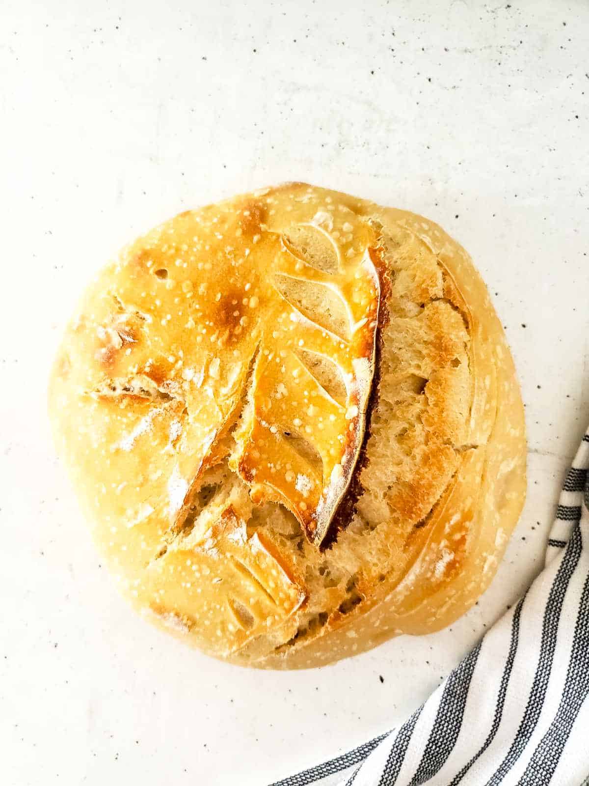 Sourdough discard bread boule baked golden brown with a scored ear.