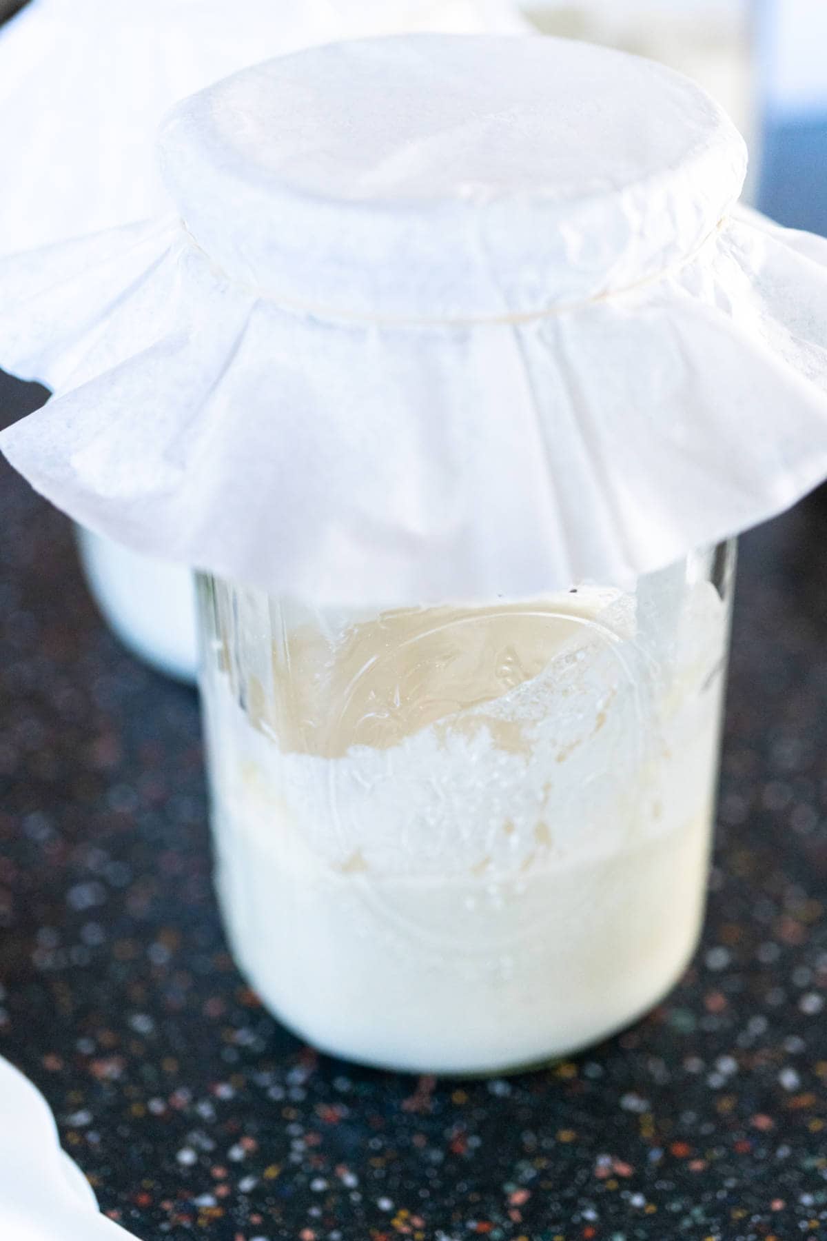 covering sourdough starter with breathable covering and band.