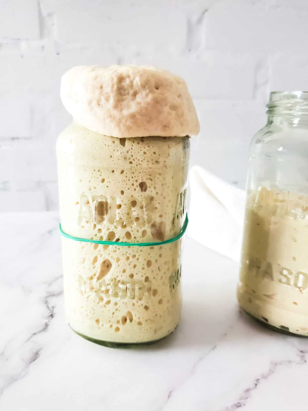 very active sourdough starter overflowing the jar.